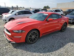 Salvage cars for sale at Mentone, CA auction: 2023 Ford Mustang