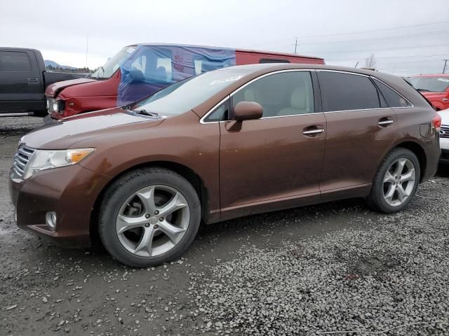 2009 Toyota Venza