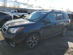Salvage cars for sale at Arlington, WA auction: 2014 Subaru Forester 2.0XT Touring