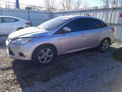 Ford salvage cars for sale: 2014 Ford Focus SE