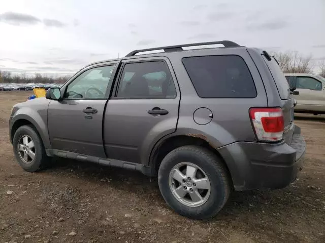 2011 Ford Escape XLT