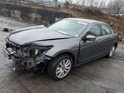 Honda Accord exl salvage cars for sale: 2011 Honda Accord EXL