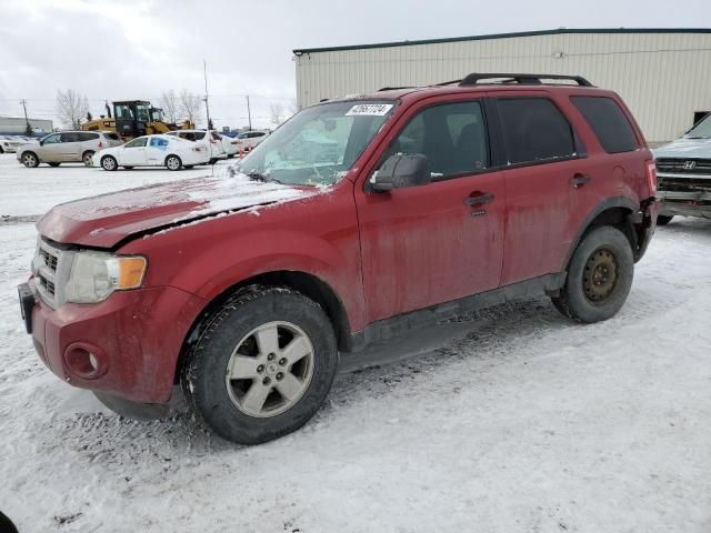 2012 Ford Escape XLT