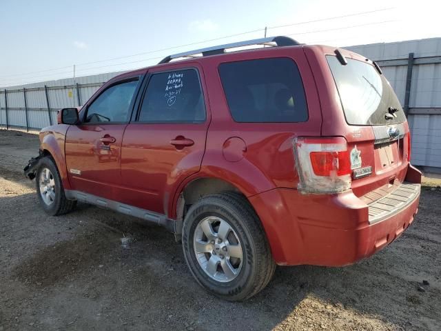 2010 Ford Escape Limited