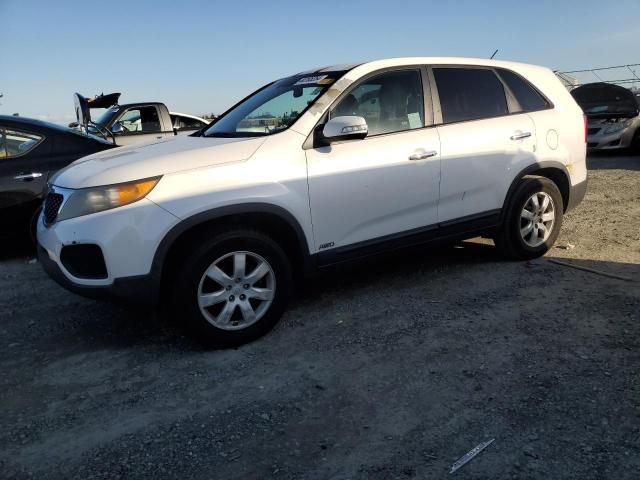 2011 KIA Sorento Base