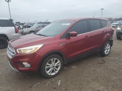 2019 Ford Escape SE en venta en Indianapolis, IN