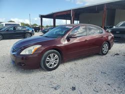 Vehiculos salvage en venta de Copart Homestead, FL: 2011 Nissan Altima Base