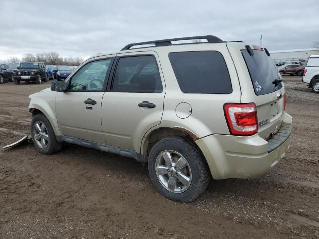 2010 Ford Escape XLT