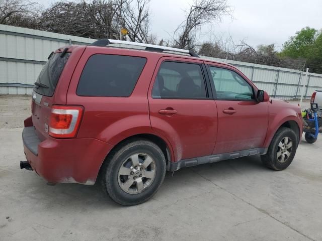 2011 Ford Escape Limited