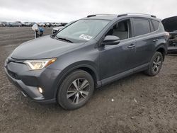 Salvage cars for sale from Copart Earlington, KY: 2016 Toyota Rav4 XLE