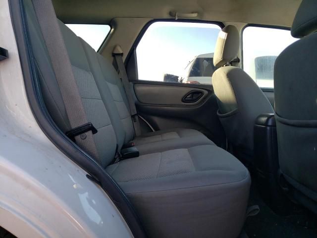 2007 Ford Escape XLT