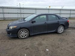 Salvage cars for sale from Copart Bakersfield, CA: 2009 Toyota Corolla Base