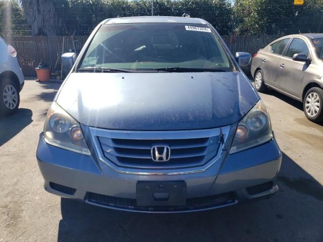 2008 Honda Odyssey EXL