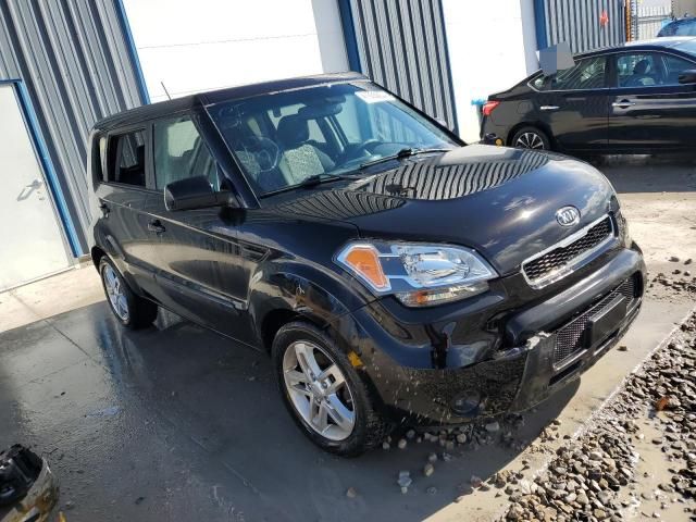 2011 KIA Soul +