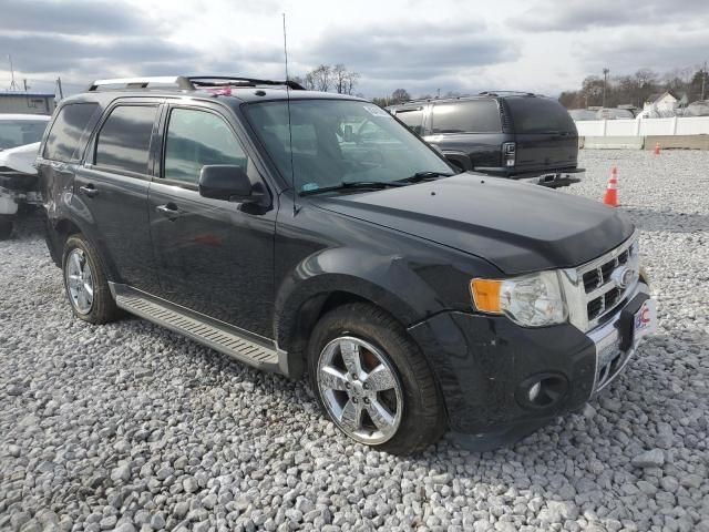 2012 Ford Escape Limited