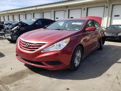Salvage cars for sale from Copart Louisville, KY: 2013 Hyundai Sonata GLS