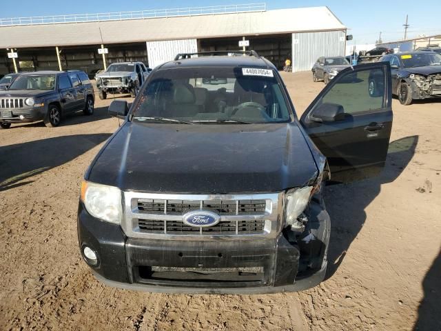 2010 Ford Escape Limited