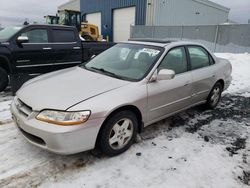 Vehiculos salvage en venta de Copart Elmsdale, NS: 1999 Honda Accord EX