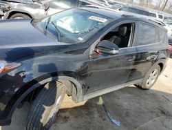 Salvage cars for sale at Bridgeton, MO auction: 2015 Toyota Rav4 XLE