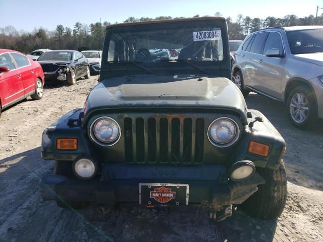 1998 Jeep Wrangler / TJ Sahara