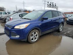 Salvage cars for sale at Columbus, OH auction: 2015 Ford Escape SE