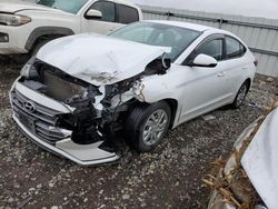 Salvage cars for sale at Earlington, KY auction: 2019 Hyundai Elantra SE