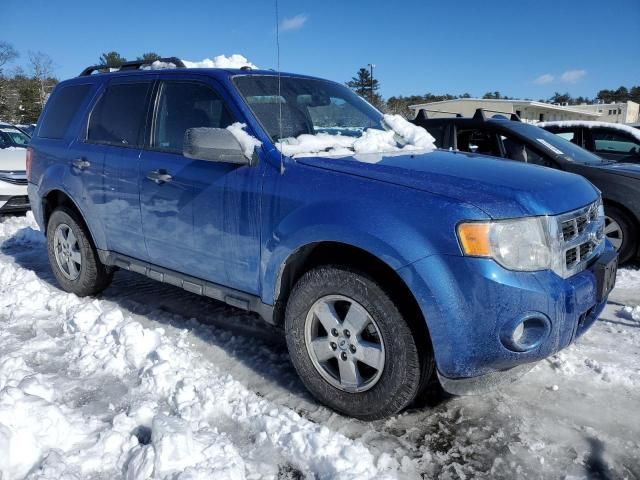 2012 Ford Escape XLT