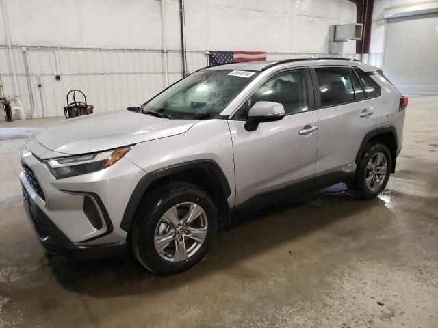 2024 Toyota Rav4 XLE