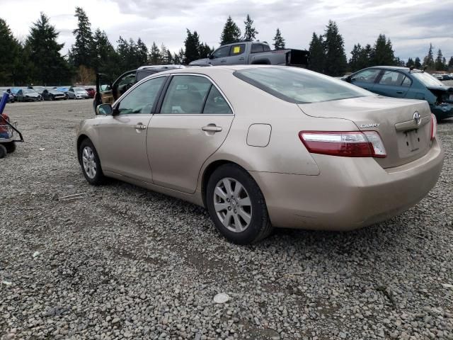 2007 Toyota Camry Hybrid