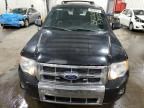 2010 Ford Escape Limited