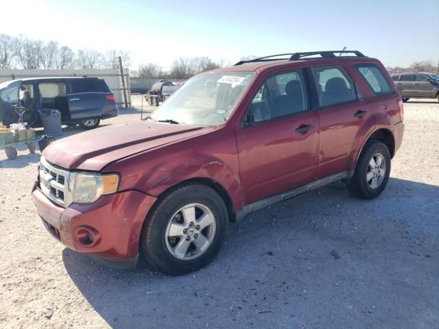 2011 Ford Escape XLS