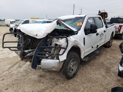 Salvage cars for sale at Temple, TX auction: 2019 Ford F250 Super Duty