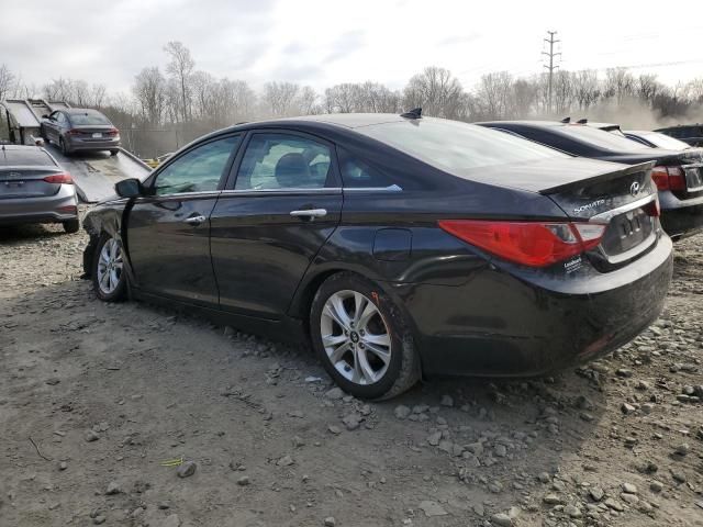 2013 Hyundai Sonata SE