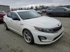 2015 KIA Optima Hybrid