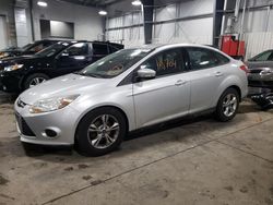 2014 Ford Focus SE for sale in Ham Lake, MN