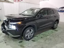 Salvage cars for sale at Tulsa, OK auction: 2023 Hyundai Santa FE SEL