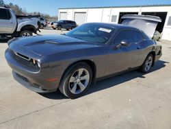 Dodge Challenger salvage cars for sale: 2019 Dodge Challenger SXT