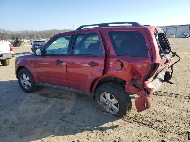 2009 Ford Escape XLT