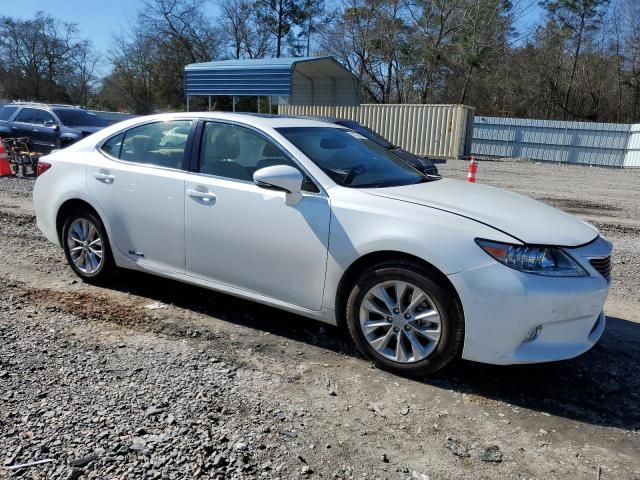 2013 Lexus ES 300H