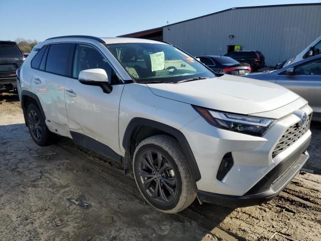 2022 Toyota Rav4 XLE Premium