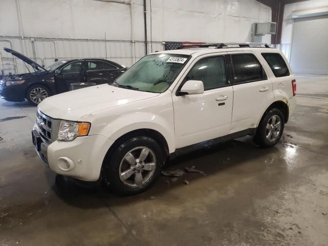 2011 Ford Escape Limited