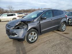 Ford Escape SE salvage cars for sale: 2013 Ford Escape SE