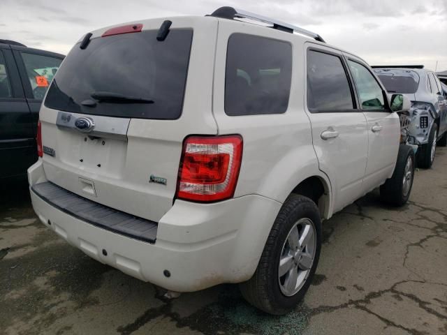 2011 Ford Escape Limited