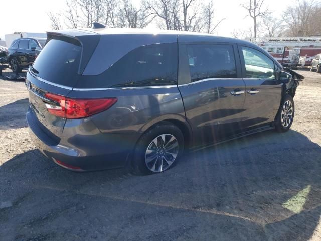 2023 Honda Odyssey EXL