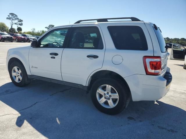 2011 Ford Escape Hybrid