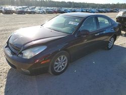 Lexus ES330 salvage cars for sale: 2004 Lexus ES 330