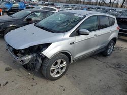 Salvage cars for sale at Bridgeton, MO auction: 2014 Ford Escape SE