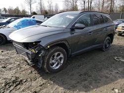 Hyundai salvage cars for sale: 2022 Hyundai Tucson SEL