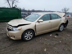 Salvage cars for sale from Copart Baltimore, MD: 2010 Toyota Camry Base