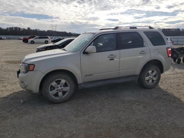 2008 Ford Escape Limited